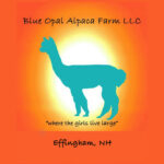 Blue Opal Alpaca Farm, LLC