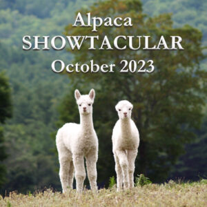 Alpaca Showtacular, Syracuse, NY Oct 2023