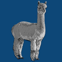 Sleepy Hollow Homestead