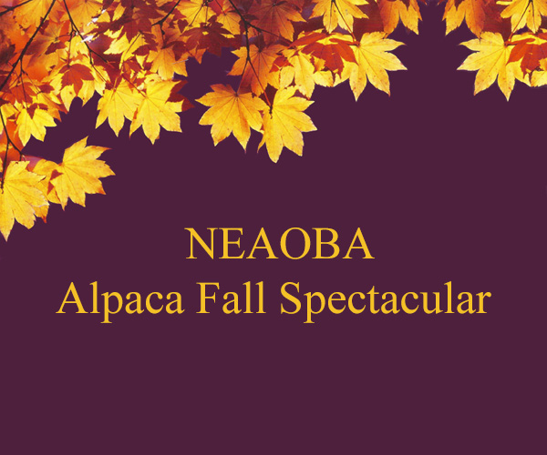 NEAOBA Alpaca Fall Spectacular Show 2020