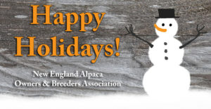 Happy Holidays from NEAOBA