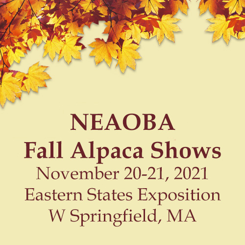 NEAOBA fall alpaca shows 2021