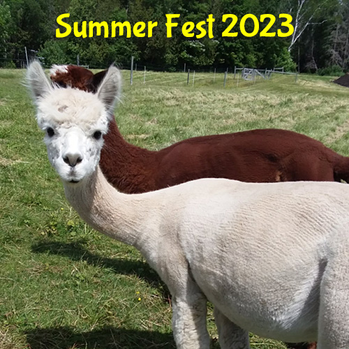 NEAOBA Alpaca Summer Fest 2023