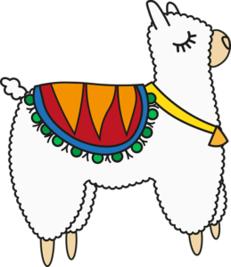 alpaca illustration