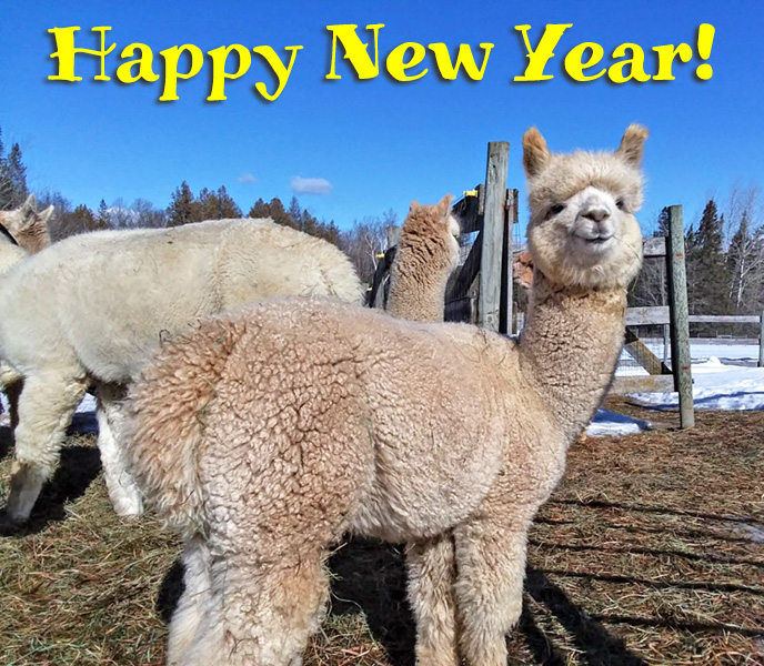 Alpacas - New England Alpaca Owners and Breeders Assoc