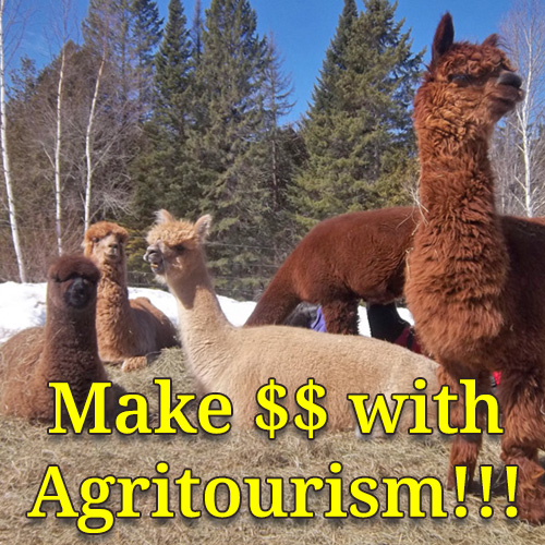 Online seminar sponsored by New England Alpacas Owners and Breeders Assoc