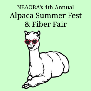 NEAOBA Summer Fest 2025