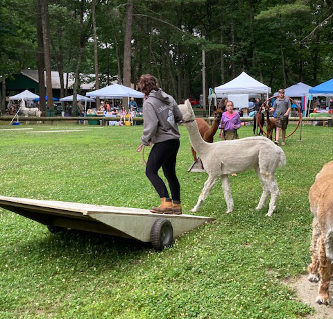 4-H seminar with Randy Hall - NEAOBA