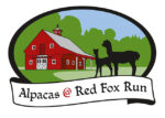 Alpacas at Red Fox Run