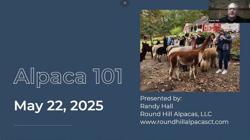 Alpacas 101 Zoom seminar with Randy Hall for NEAOBA