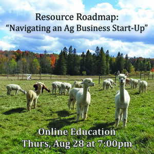 Online education with NEAOBA