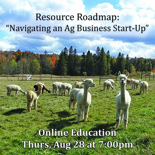 Online education with NEAOBA