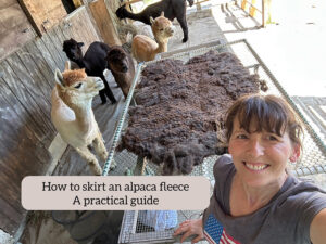 Online skirting seminar for alpaca fiber - NEAOBA