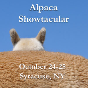 Alpaca Showtacular 2026
