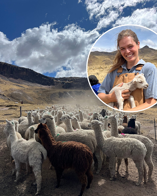 Discover Peru with Talia Trigg: Adventures with the Nunoa Project - online education with NEAOBA